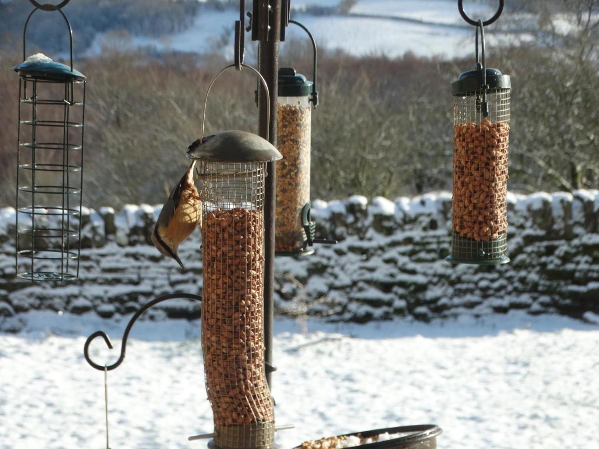 Pant Llwyd Farm Villa Llangynidr Kültér fotó