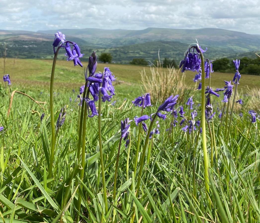 Pant Llwyd Farm Villa Llangynidr Kültér fotó