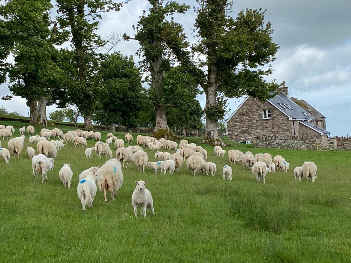 Pant Llwyd Farm Villa Llangynidr Kültér fotó