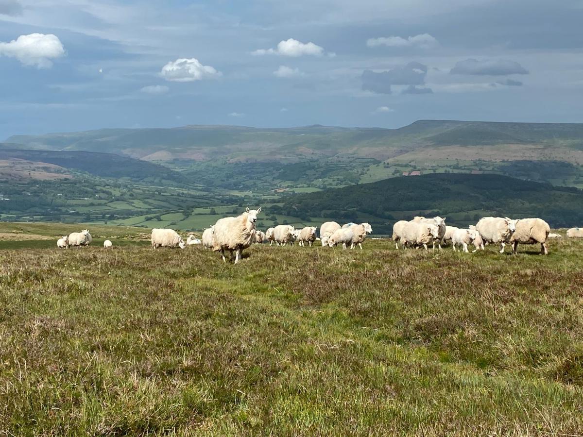 Pant Llwyd Farm Villa Llangynidr Kültér fotó